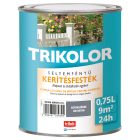Trikolor silk gloss fence paint concrete grey 0.75 l