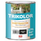 Trikolor silk gloss fence paint jet black 0.75 l