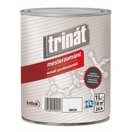 Trinát master enamel white 1 l