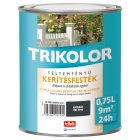 Trikolor selyemfényű kerítésfesték antracit [RAL7016] 0.75 l