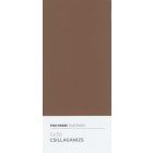 Polifarbe platinum star anise cs50 2.5 l