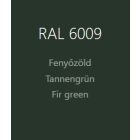 Prisma color spray paint green [ral 6009] 400 ml